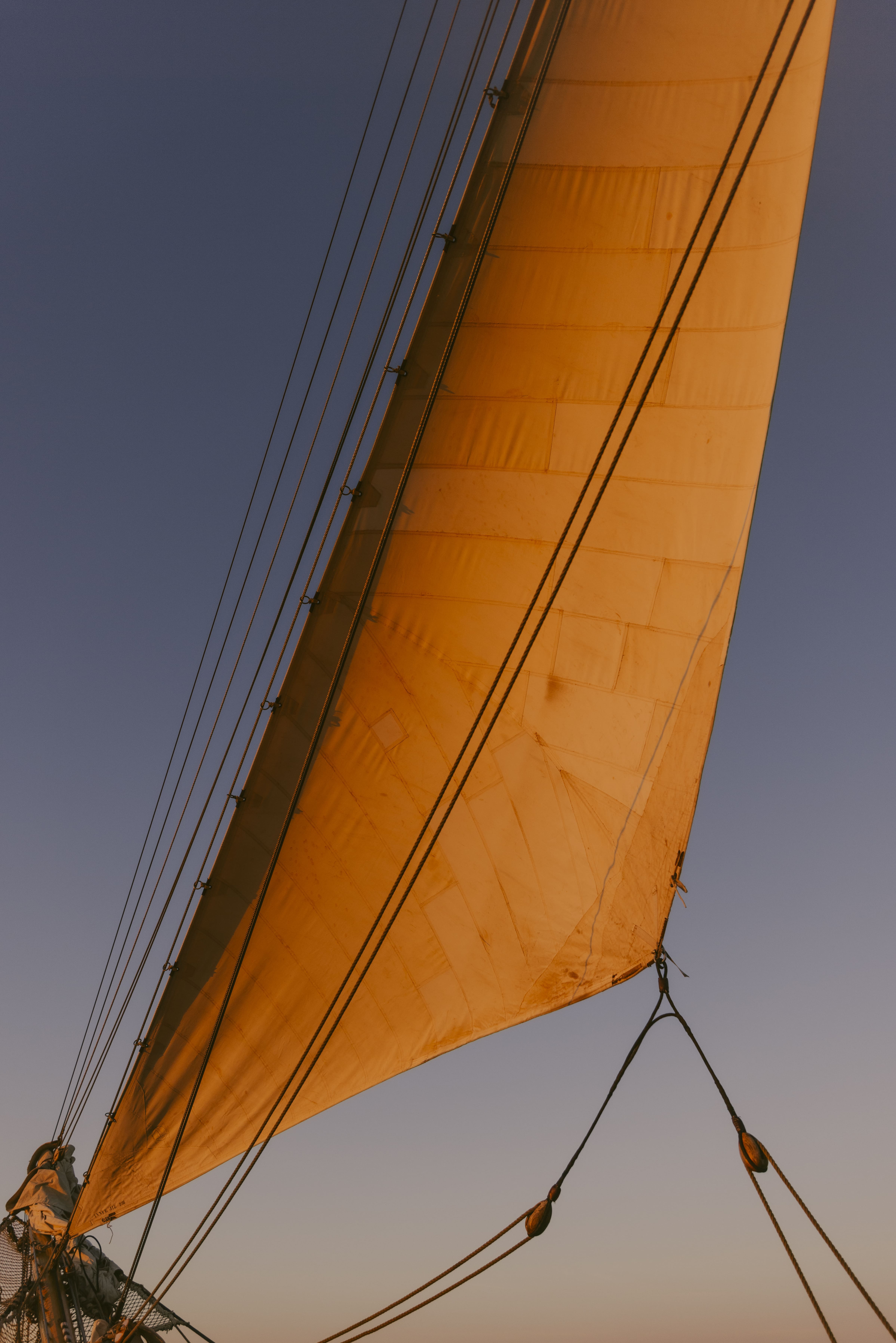 Golden sail of Bark EUROPA catching the last light